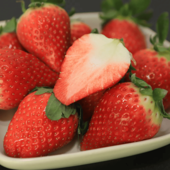 [누리는특가] 당도 13brix이상 *연말특가* 프리미엄 고당도 홍희딸기 특/왕특 500g/1kg