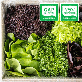 [무농약 / GAP인증] 유러피안 샐러드채소 1kg (3-4종 랜덤발송)