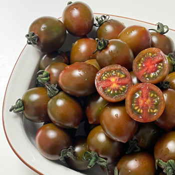 [GAP인증]대저 흑대추방울토마토 3종 택1