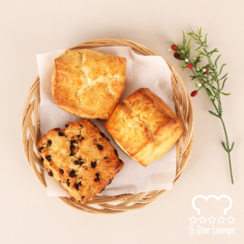 [5-Star Lounge]프랑스 빅스콘3종 6P/9P/12P 택1