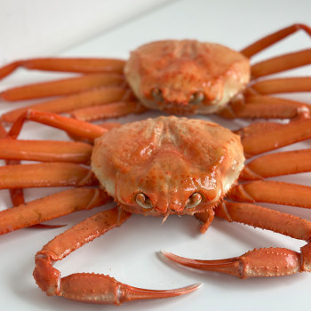 울진 후포리 프리미엄 자숙홍게 3kg내외(8-11미),1.5kg내외(4-6미) ,육수용 3kg