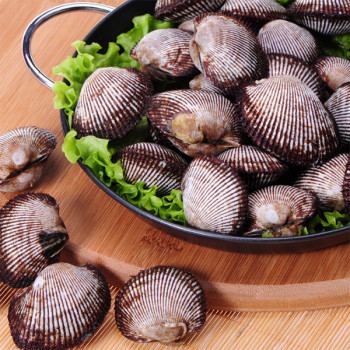 [어선생] 남해 통영 피조개 2Kg / 산지직송! 당일조업!