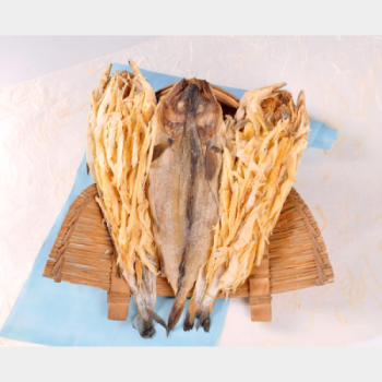 [마산어시장 동해상회] 먹태 (대)