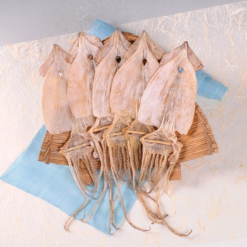 [마산어시장 동해상회] 건조 오징어 5미/ 10미 (사이즈: 소/ 중/ 대/ 특대)