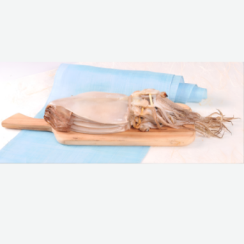 [마산어시장 동해상회] 반건조 오징어 10미(대)