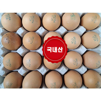 [평창양계]生生 우리알 왕란30알+30알 착한마음 아저씨쌀집