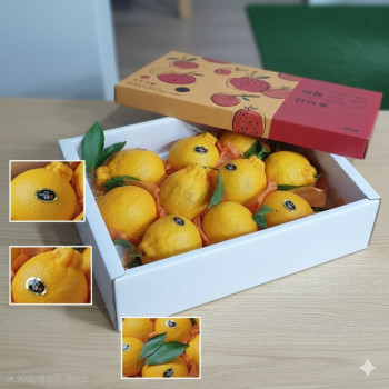 [이가네과일야채]제주 한라봉 선물용 3kg내외 7과~12과