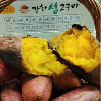 꿀같은 강화섬 속 노랑고구마 5kg [ 혼합사이즈]