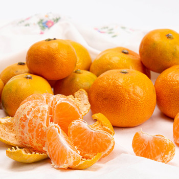 제주직송  새콤달콤 비가림 감귤 2.5kg/4.5kg