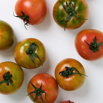 짭짤한 감칠맛 대저토마토 후숙필수 1.5kg 2.5kg