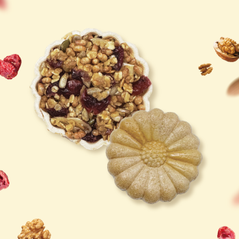 [온전한하루] 모나카견과칩 선물세트 (8개입)