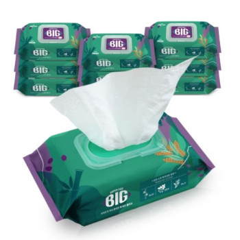 샐리의법칙 빅바디 엠보 대용량 물티슈 60매 x 10팩