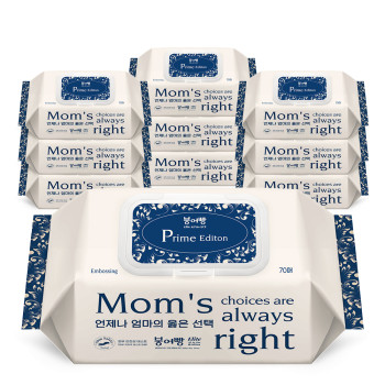 붕어빵 엘리트 올인원 프라임 에디션 아기물티슈 캡형 x 10팩