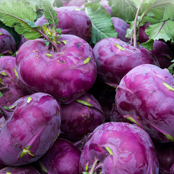 [경매직송] 제주 콜라비 3Kg/5kg