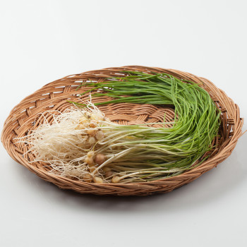 [경매직송] 국내산 달래 200g/500g