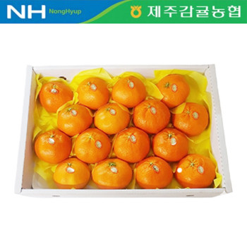 [제주감귤농협] 레드향 [2.5kg-4kg]