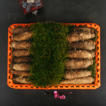 [26년 설]더덕향기채반 1호 800g(20-30뿌리)