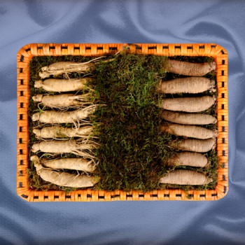 [26년 설]더덕수삼세트 1호 600g(18~25뿌리)