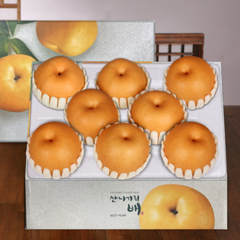 [26년 설][농협수출용]안성미소배 5kg(6-9과)★2월 03일부터 출고가능