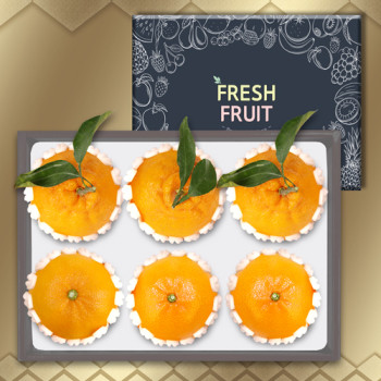 [26년 설]프리미엄 과일 선물세트 5종 택1(2/3부터 순차출고)