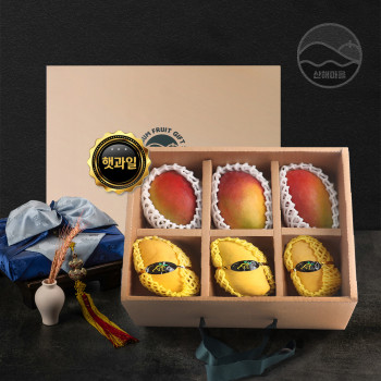 산해마을 애플망고 골드망고 선물세트 6수 2.5kg내외