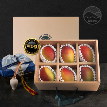 산해마을 애플망고 선물세트 6수 2.4kg내외