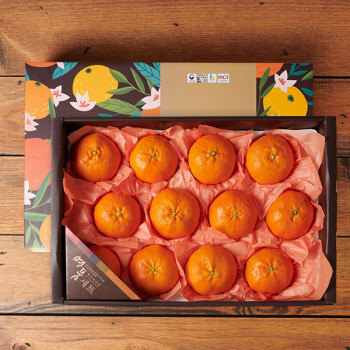 [선물용] 한라봉 레드향 천혜향 3kg 대과  보자기포장