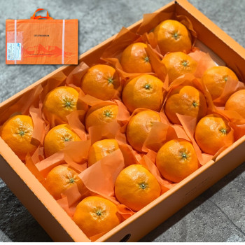 [선물용]레드향  1kg 2.5kg 4.5kg 부직포 가장 포장