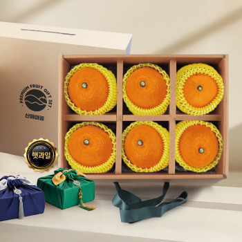 산해마을 황금향 선물세트 6수 2kg내외