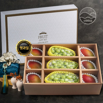 망고혼합 선물세트 4.5kg내외 (애플망고6수 샤인머스캣3)보자기포장