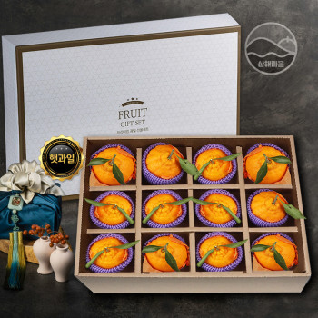 산해마을 한라봉 선물세트 12수 5kg내외
