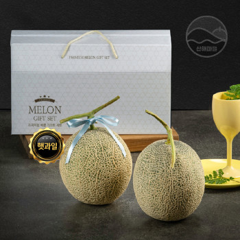 [과일선물] 메론 선물세트 2수 3kg내외 손잡이 고급포장