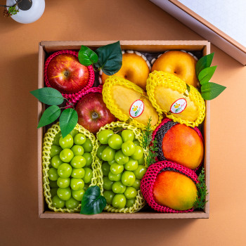 산해마을 VVIP 혼합특선세트 10수 5kg내외