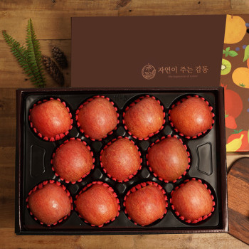 프리미엄 사과 선물세트 12수 5kg내외 선물용/제수용