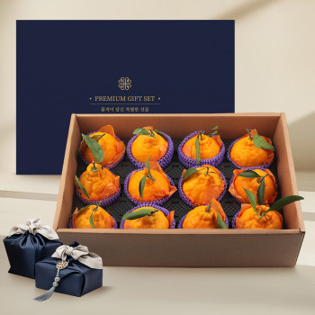 프리미엄 한라봉 선물세트 12수 5kg내외(한라봉 12수)