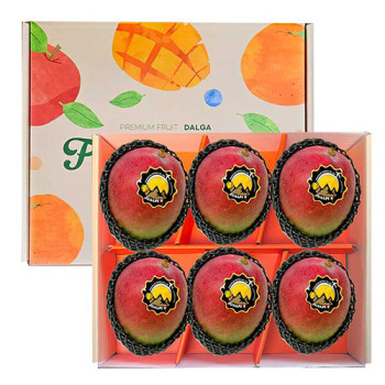 [후르츠팜] 페루 애플망고 6입 선물세트 2.2kg내외