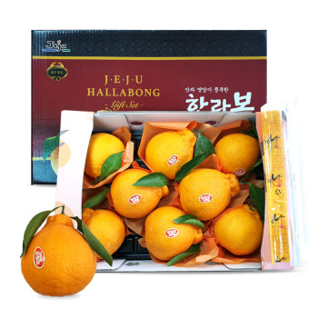 [봉스팜] 제주 한라봉 대과 3Kg/5kg (선물용)