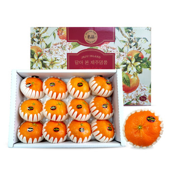 [봉스팜] 제주 레드향 대과 3Kg/5kg (선물용)