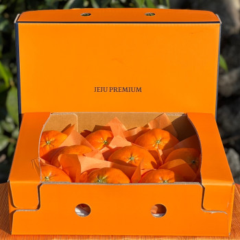 [미가원] 제주직송 돌담농장 선물용 레드향 2.5kg 소/중/대과