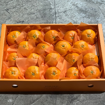 [미가원] 제주직송 돌담농장 선물용 레드향 4.5kg 소/중/대과