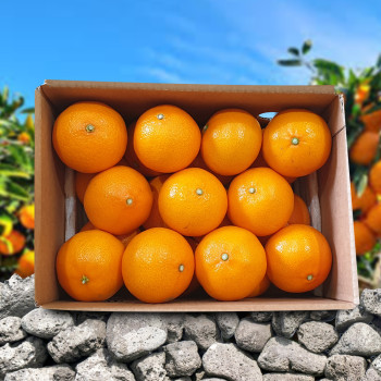 [미가원] 제주직송 돌담농장 가정용 쳔혜향 2.5kg/4.5kg