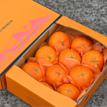 [미가원] 제주직송 돌담농장 선물용 쳔혜향 2.5kg 소/중/대과