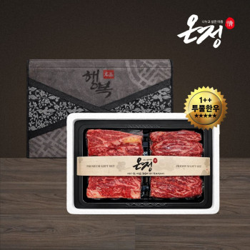 [온정:情] 빛고을 1++투뿔 한우 구이 선물세트 / 등심200g+갈비살200g (400g)