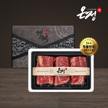 [온정:情] 빛고을 1++투뿔 한우 구이 선물세트 / 등심200g×2팩+채끝200g (600g)