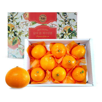 [베네팜] 제주 천혜향 대과 3kg/5kg (선물용)