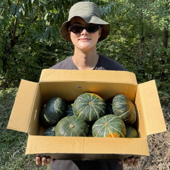 [농진사] 건강을 담은 단호박 2kg 5kg 10kg(국내산)