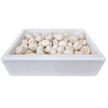 (농할)[머쉬그로] 농장에서 바로 수확한 꼬다마 못난이 파지 1kg 2kg 양송이 200g 400g 버섯