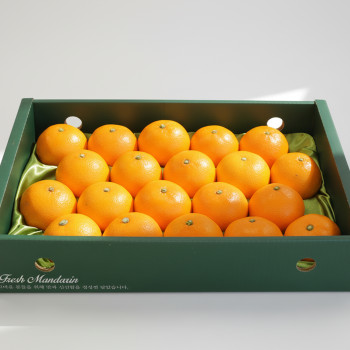 [설 선물세트] 천혜향 선물세트 특상품 3kg 5kg