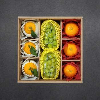 [정성담은] 명품 한라봉/레드향/샤인머스켓 선물세트