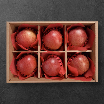 [정성담은] 산지직송 명품 사과 세트 6과 / 370-410g
